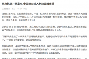 时报：风电机组并网发电 中国利来w66驶入新能源新赛道